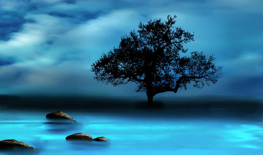Tree Digital Art - Blue Night by Katy Breen