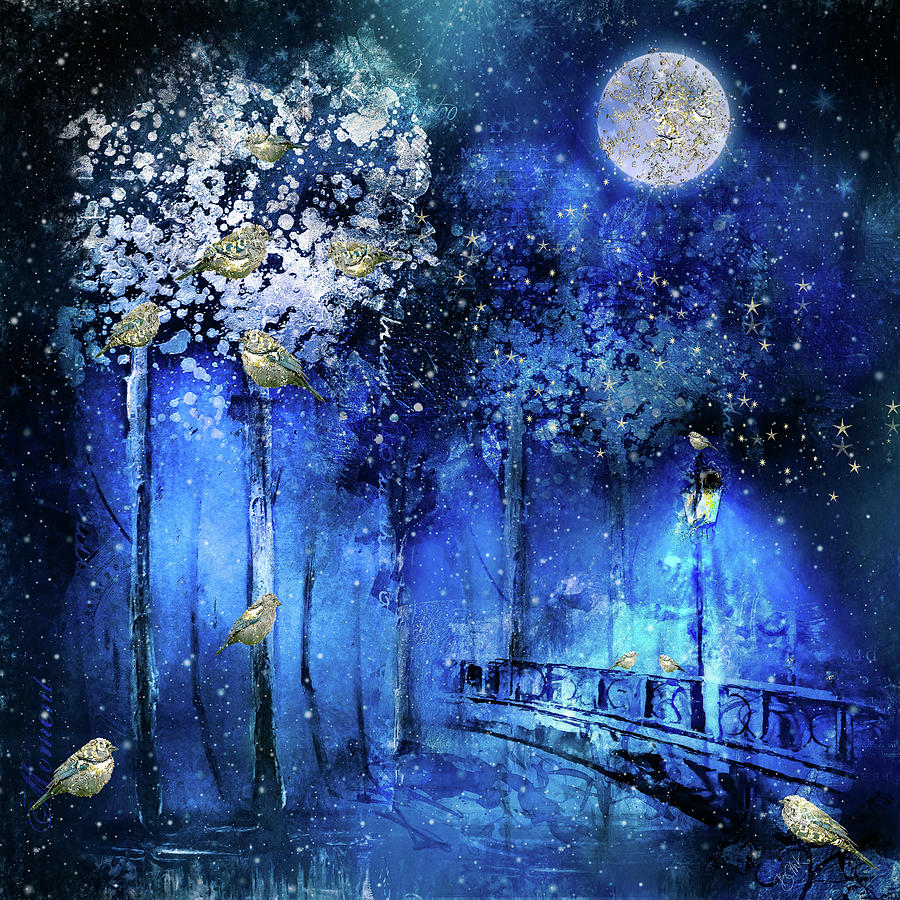 Blue Night Scene Digital Art by Barbara Mierau-Klein