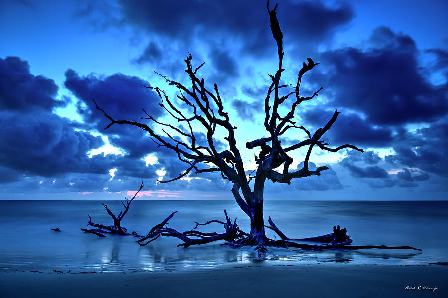 Jekyll Island GA Blue On Blue Driftwood Beach Sunrise Atlantic Ocean Seascape Art Photograph by Reid Callaway