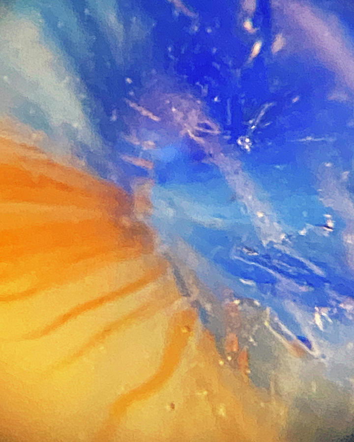 Blue Orange Marble Photograph by Marilyn Borne