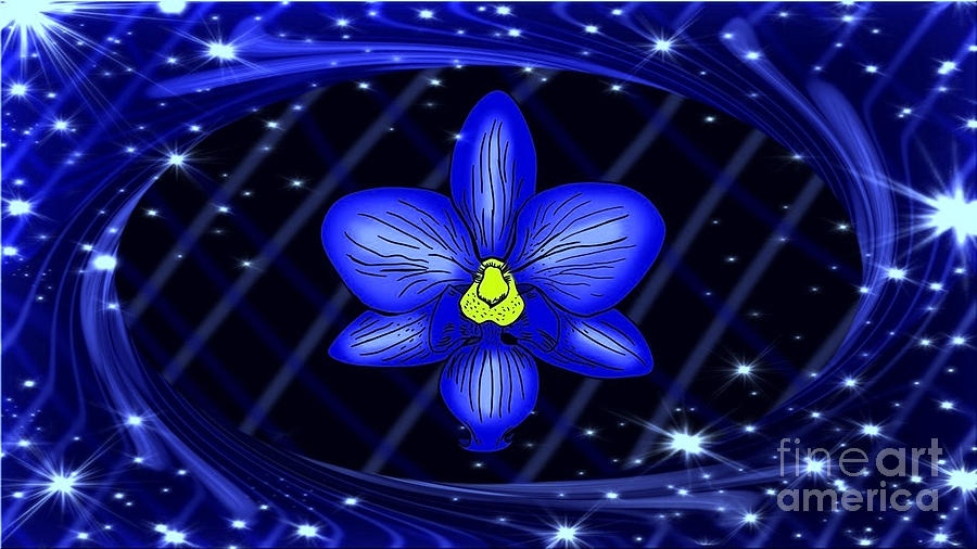 Blue Orchid Drawing by Hailee Steiner