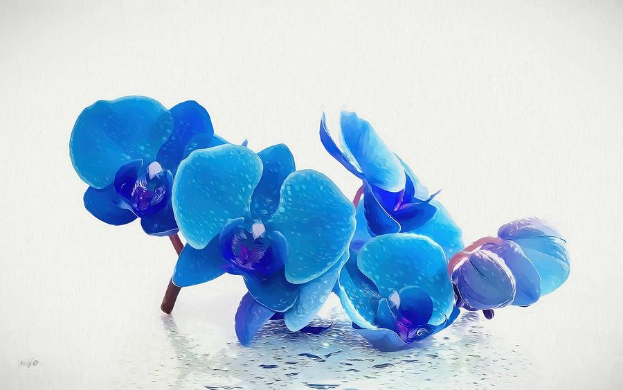 Blue Orchid Digital Art by Maciek Froncisz