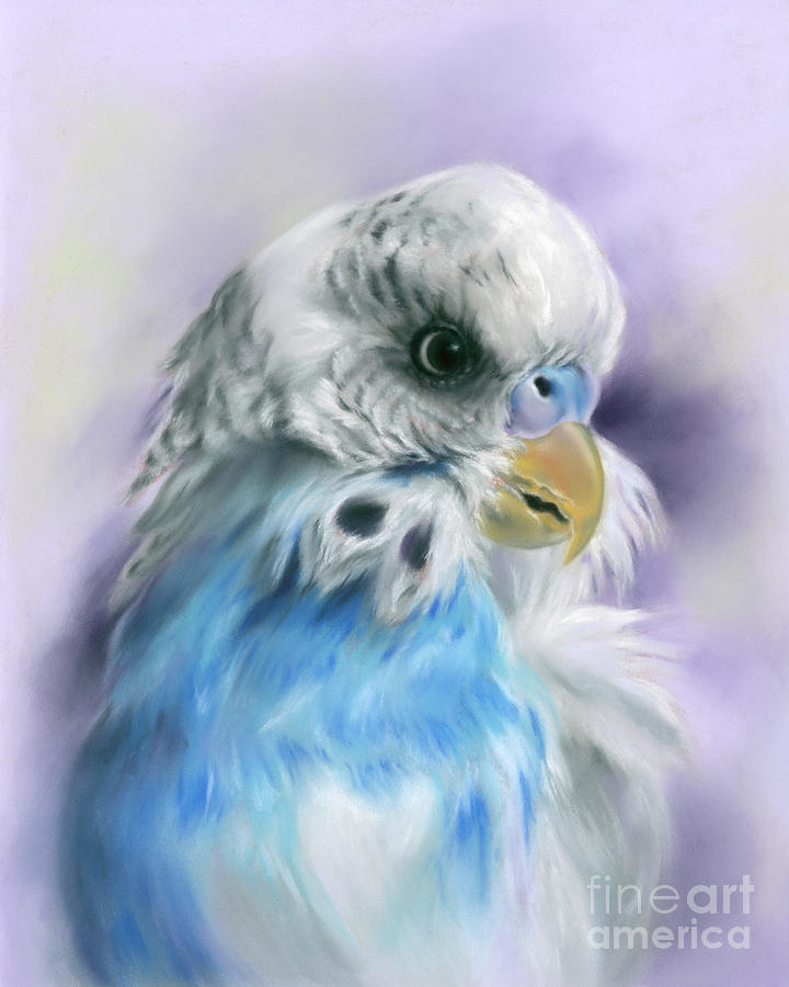 Blue Parakeet Bird Portrait Painting by MM Anderson