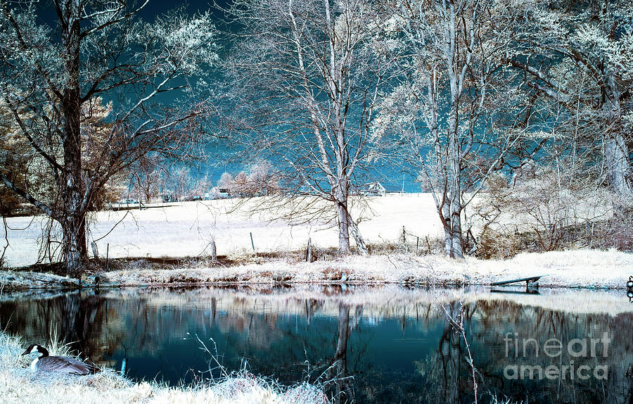 Blue Pond Infrared in New Jersey Photograph by John Rizzuto