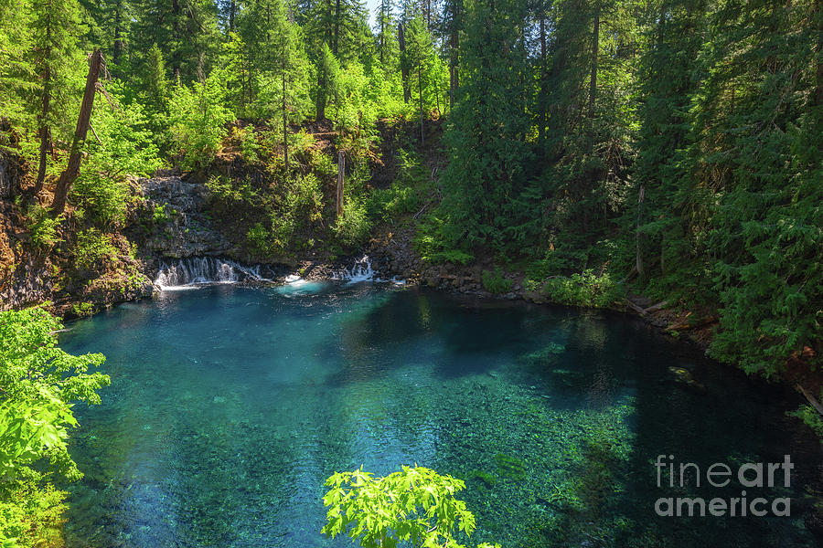 Blue Pool, Oregon Photograph by Michael Ver Sprill