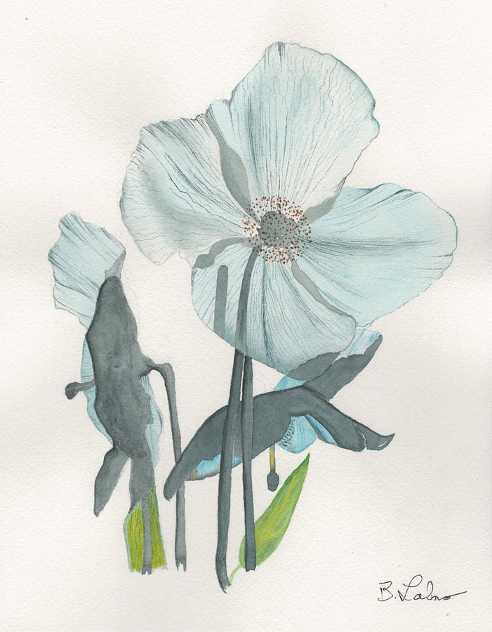 Blue Poppies Painting by Bob Labno
