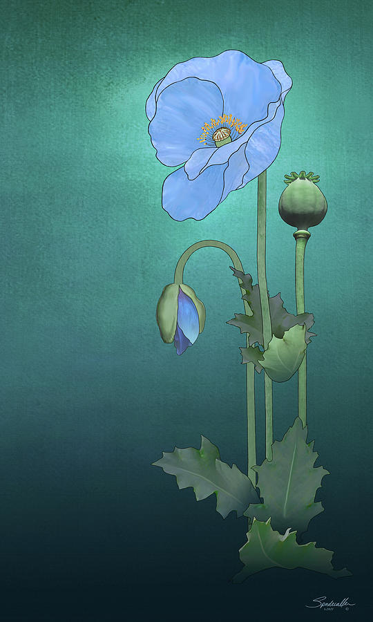 Blue Poppy Mixed Media by M Spadecaller