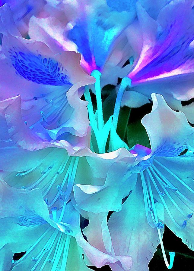 Blue Pretty Digital Art by Cindy Greenstein