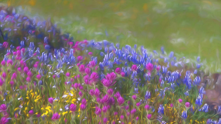 Blue Purple And Yellow Wildflowers Photograph by Alessandra RC