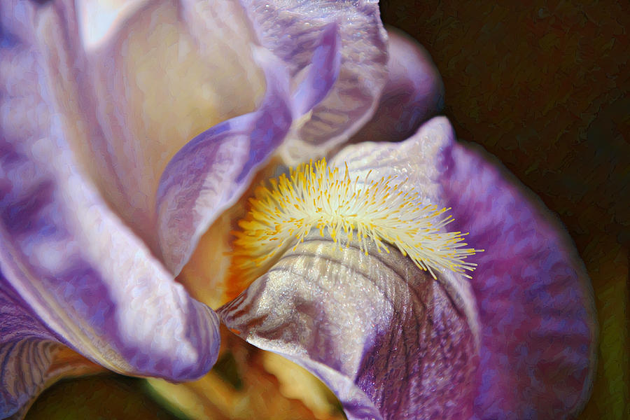 Blue Purple Iris Macro Sun and Shade Digital Art by Gaby Ethington