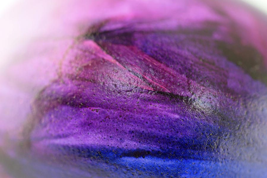 Blue Purple Magenta Eggshell Photograph