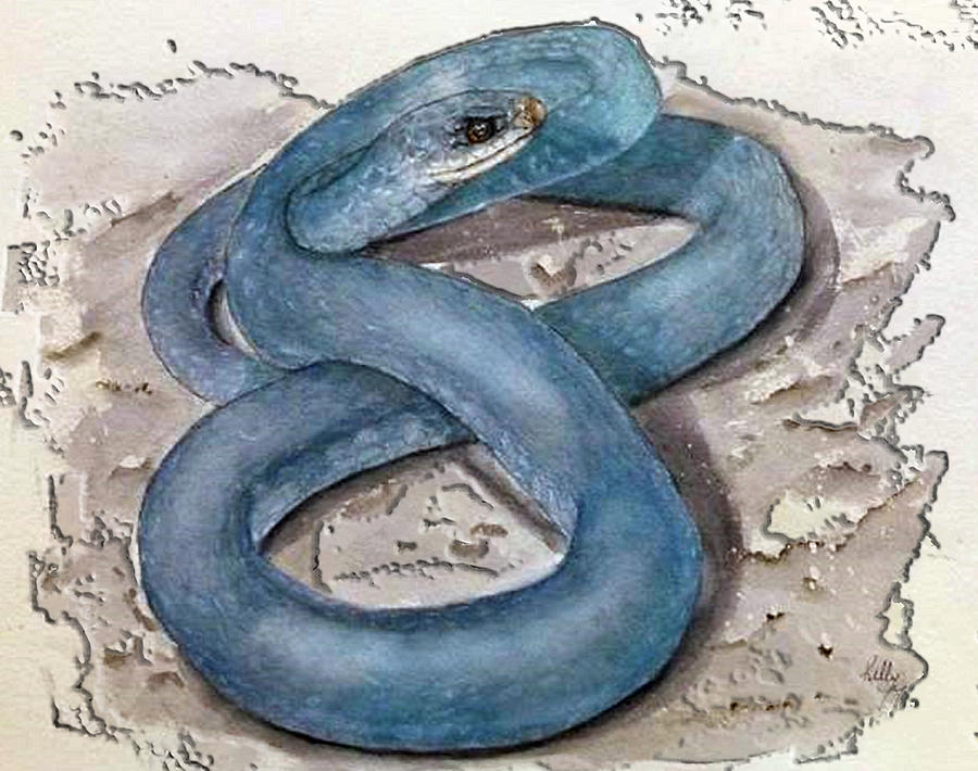 Blue Racer Snake Painting by Kelly Mills