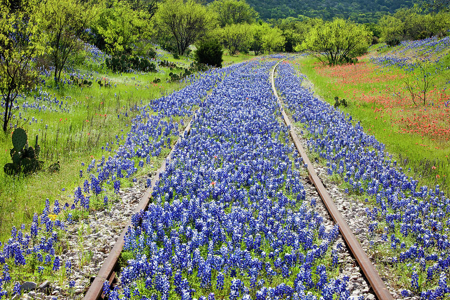 Rural Scene Photograph - Blue Railroad by Eggers Photography