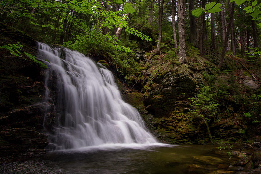 Blue Ravine Cascade Photograph by White Mountain Images