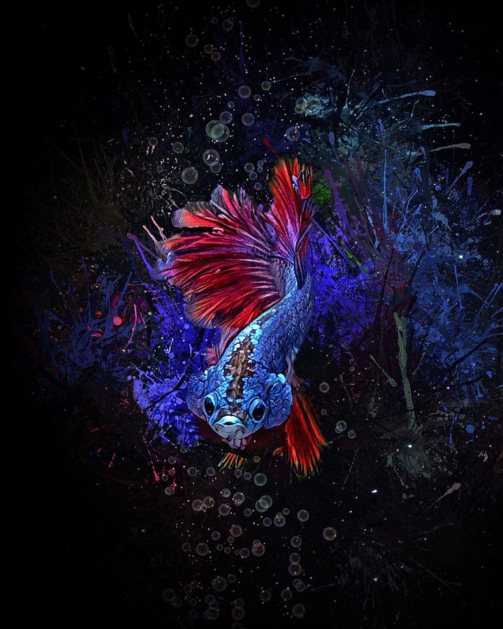 Fish Digital Art - Blue Red Tail Betta Fish Vertical Portrait  by Scott Wallace Digital Designs