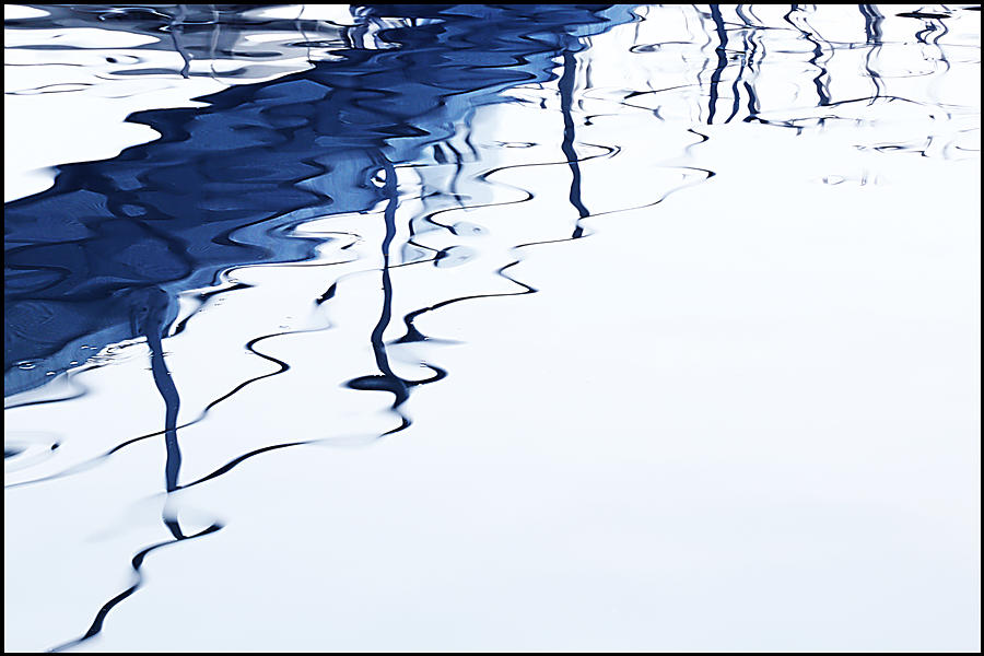 Blue Reflection Photograph by Angelika Vogel
