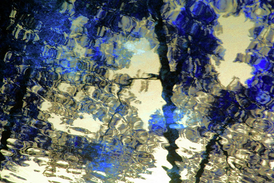 Blue Reflections Photograph by Carolyn Stagger Cokley