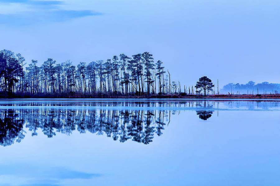 Blue Reflections of Blackwater Photograph by C  Renee Martin