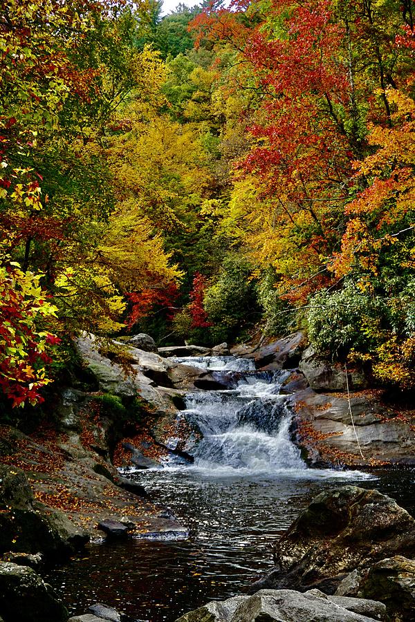 Blue Ridge Autumn Photograph by Tim Nielsen - Fine Art America