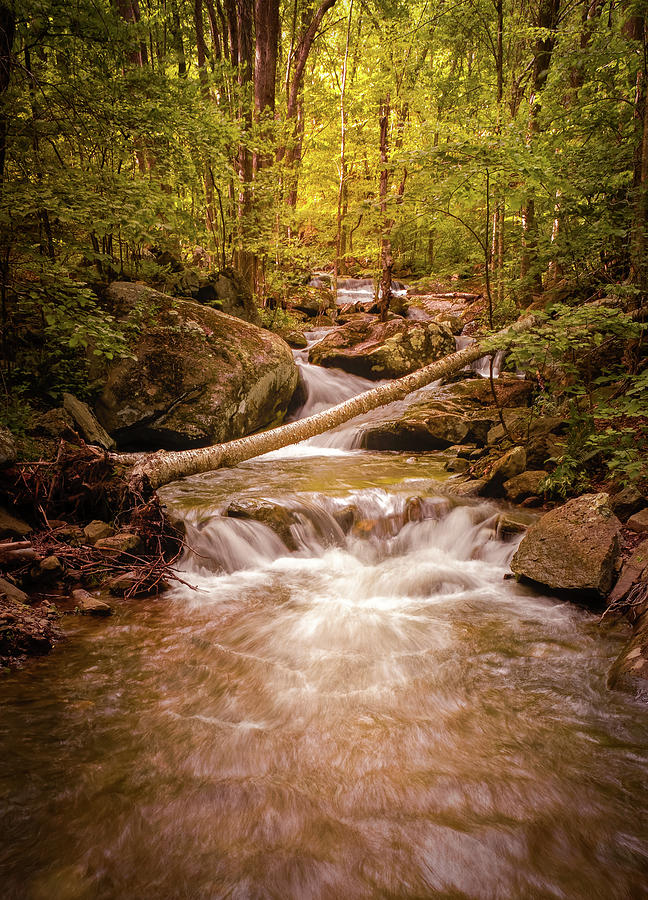 Blue Ridge Cascade Waterfalls Photograph by Norma Brandsberg - Fine Art ...