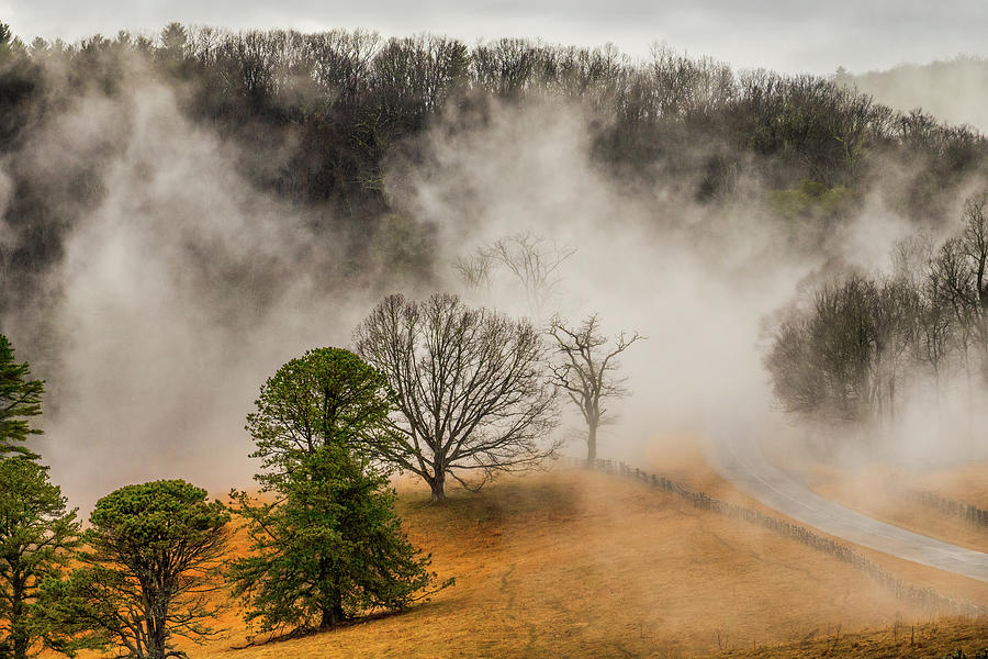 Blue Ridge Doughton Foggy Trees and Parkway 301 Photograph by Dan Carmichael