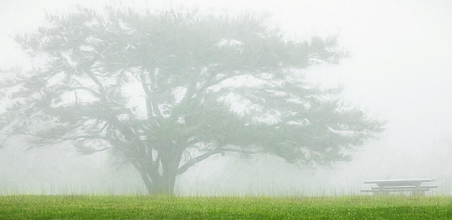 Mountain Photograph - Blue Ridge Doughton Park Fog and Rain ap 319 by Dan Carmichael
