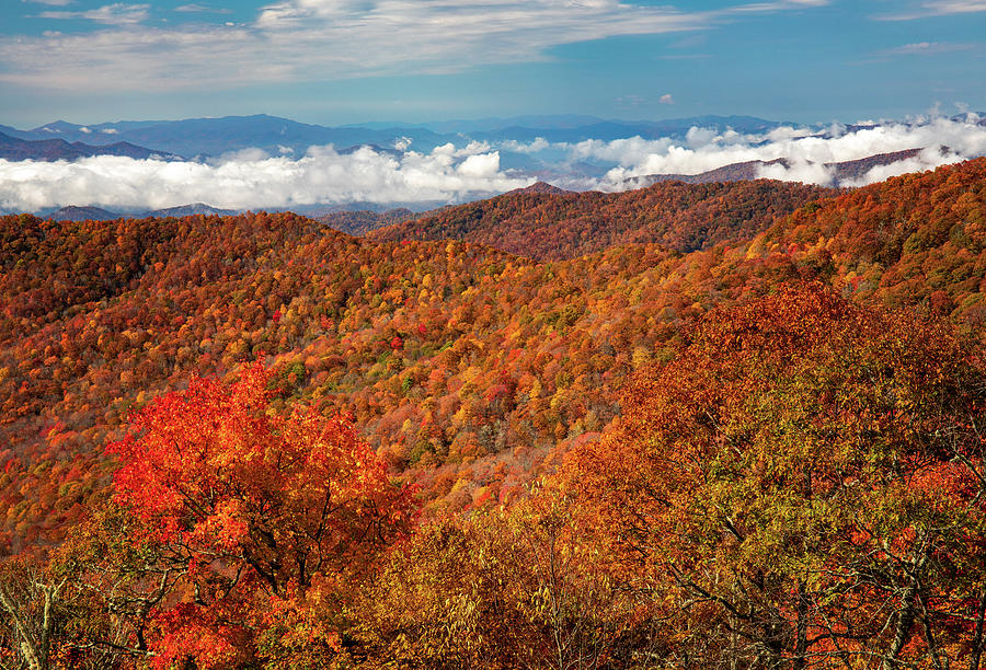 Blue Ridge Fall Landscape Overlook Photograph by Dan Sproul