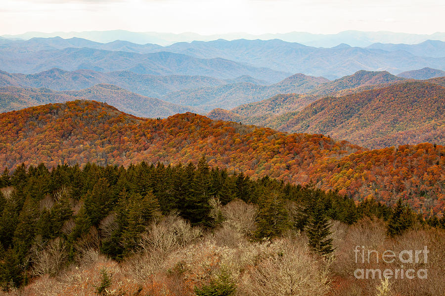 Blue Ridge in Autumn Photograph by Jayne Carney