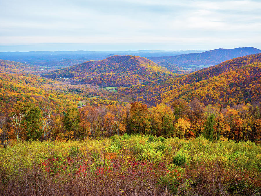 Blue Ridge in the Fall Photograph by Rachel Morrison