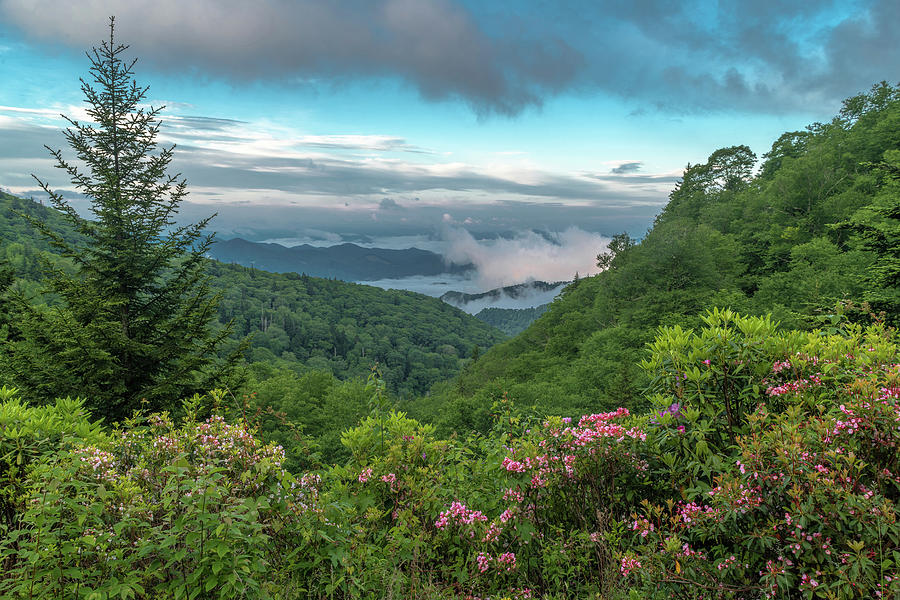 Mountain Photograph - Blue Ridge Morning by Eric Albright