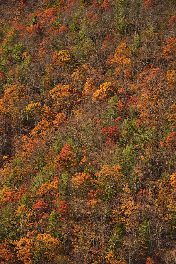 Blue Ridge Mountain Fall Colors Photograph by Stephen Vecchiotti