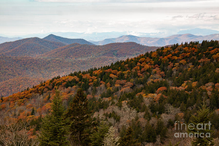 Blue Ridge Mountain Layers Photograph by Jayne Carney