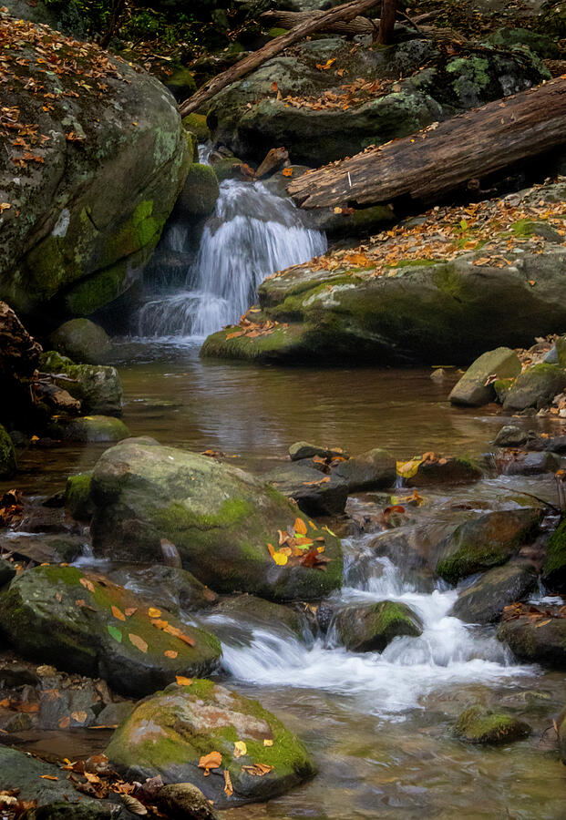 Waterfall Photograph - Blue Ridge Mountain Stream by Norma Brandsberg