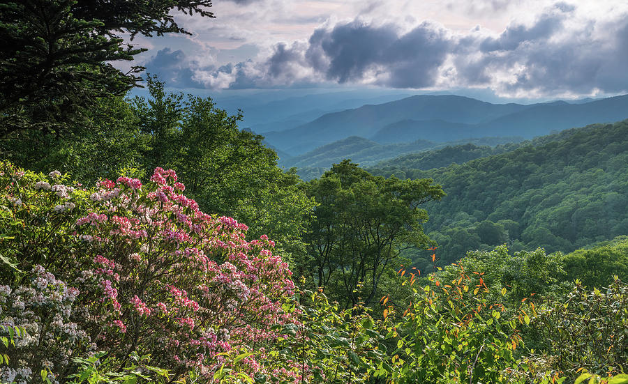 Blue Ridge Mountain View Photograph by Eric Albright