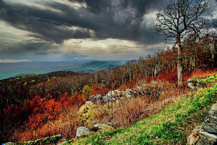 Blue Ridge Mountains, early spring Photograph by Bill Jonscher