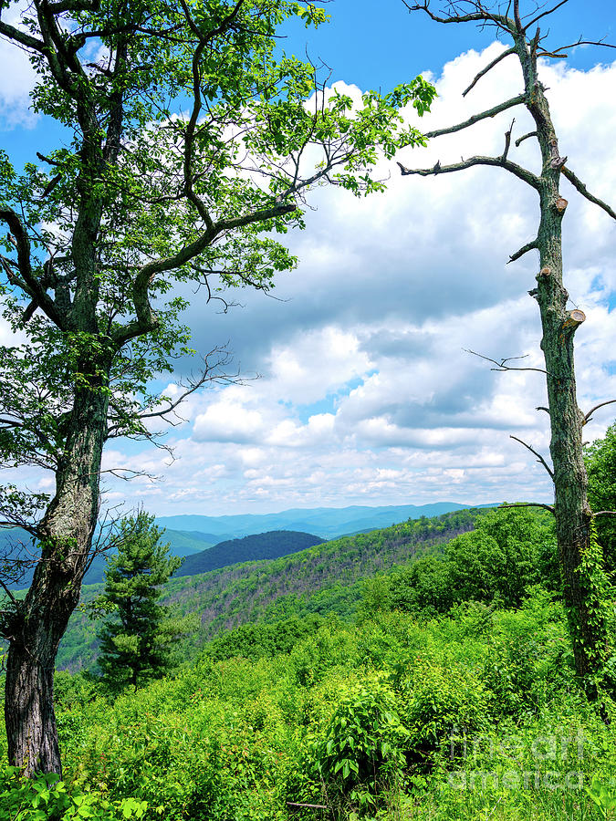 Blue Ridge Mountains in Virginia Photograph by John Rizzuto