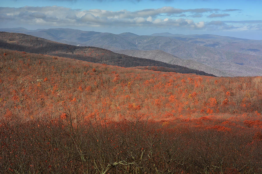 Blue Ridge Mountains Looking South at Priest Wilderness Photograph by Raymond Salani III