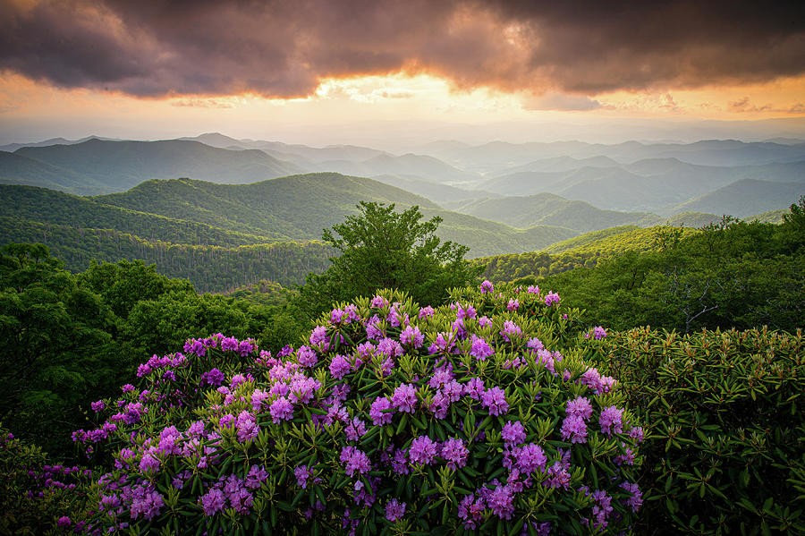 Blue Ridge Mountains North Carolina Craggy Golden Glow Photograph by Robert Stephens