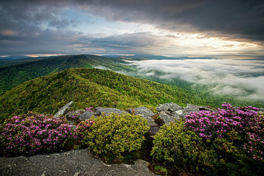 Blue Ridge Mountains North Carolina Hawksbill Sunrise Photograph by ...