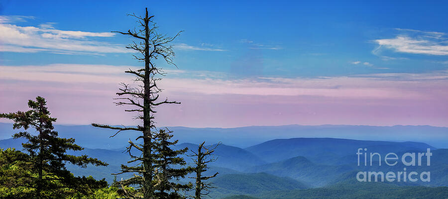 Blue Ridge Mountains Panorama Photograph by Shelia Hunt