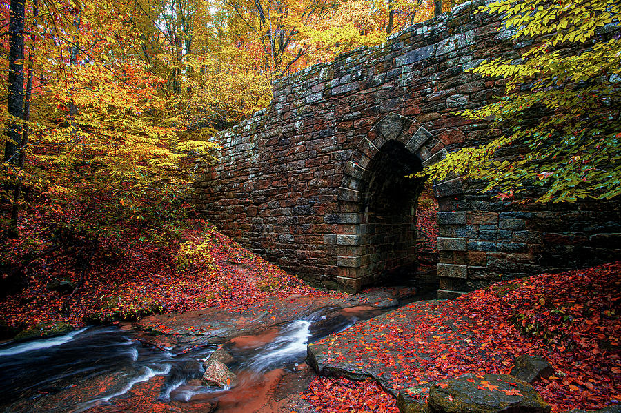 Blue Ridge Mountains South Carolina Poinsett Bridge Autumn Scenic Photograph by Robert Stephens