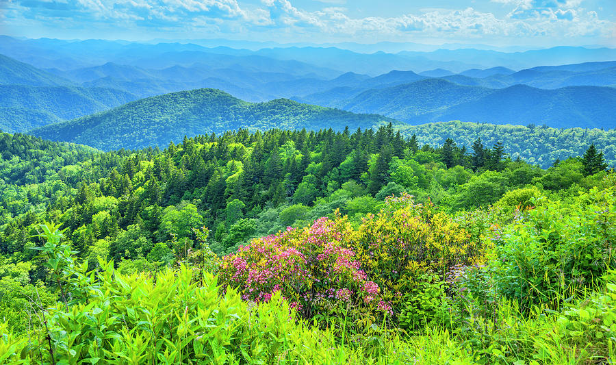 Blue Ridge Mountains Summer Photograph by Margaret Wiktor - Fine Art ...