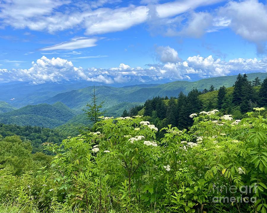 Blue Ridge Mountains  Photograph by Susan Cliett