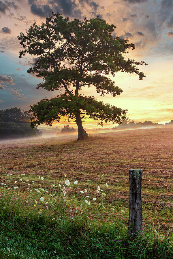 Blue Ridge North Carolina Sunrise 319 Photograph by Dan Carmichael