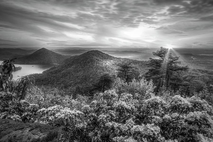 Blue Ridge Overlook Great Smoky Mountains Black and White  Photograph by Debra and Dave Vanderlaan