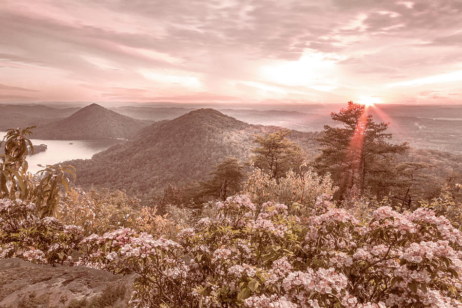 Blue Ridge Overlook Great Smoky Mountains Soft Hues Photograph by Debra and Dave Vanderlaan