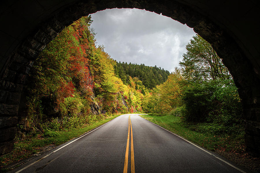 Blue Ridge Parkway Asheville NC Autumn Tunnel Photograph by Robert Stephens