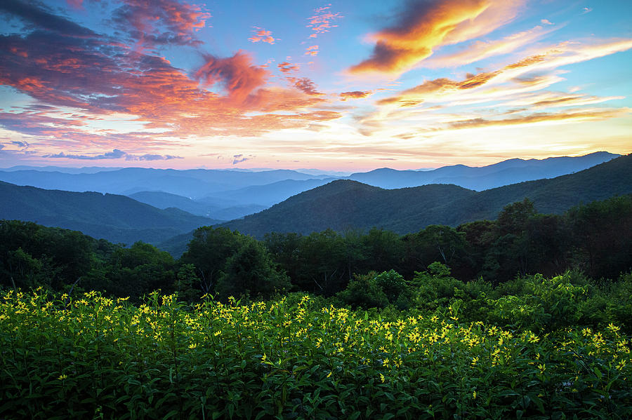 Blue Ridge Parkway Asheville North Carolina Grassy Ridge Mine Wildflower Sunset Photograph by Robert Stephens