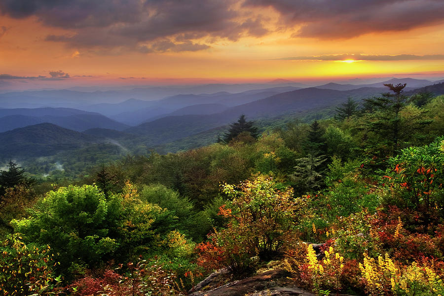 Blue Ridge Parkway - Autumn Sparks Photograph By Susan Stanton