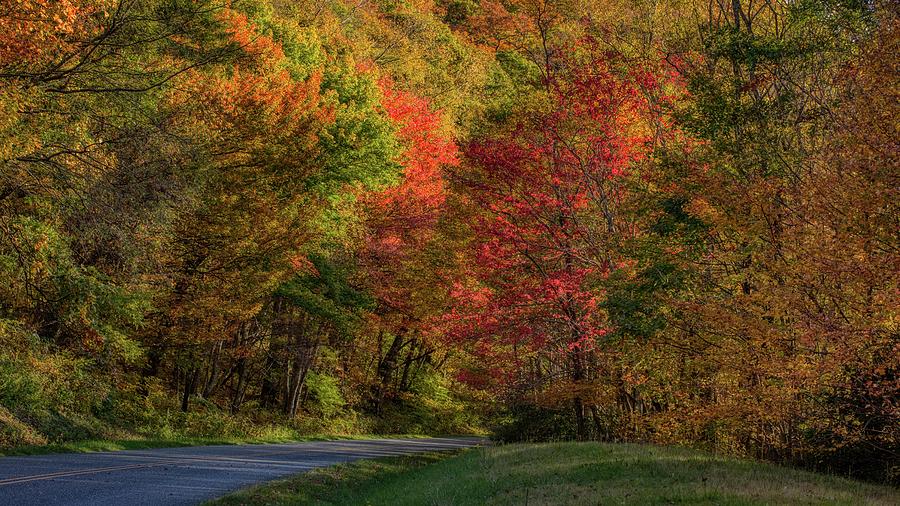 Blue Ridge Parkway Color  Photograph by Nick Noble